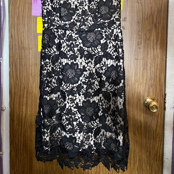 New York & company Black laced dress - Picture 5 of 13